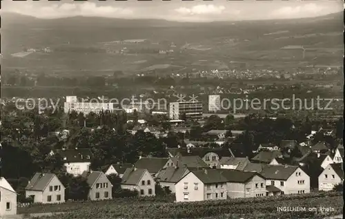 Ingelheim Rhein Panorama Kat. Ingelheim am Rhein