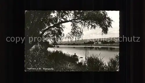 Ingelheim Rhein Rheinpartie Kat. Ingelheim am Rhein