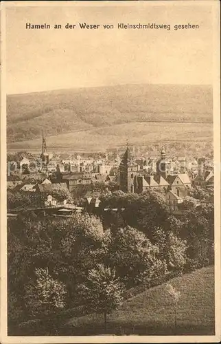 Hameln Panorama vom Kleinschmidtsweg Kat. Hameln