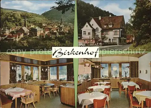 Weidenthal Pfalz Ortsblick Gasthof Birkenhof Kat. Weidenthal