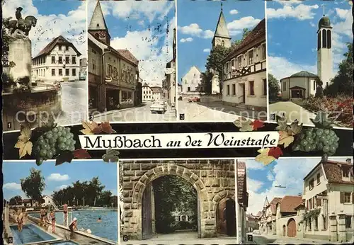 Mussbach Kriegerdenkmal Rathaus Hauptstr Kath Kirche Schwimmbad Johannitergut Kat. Neustadt an der Weinstr.