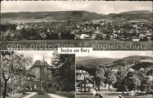 Seesen Harz Burg Sehusa u.Lautentaler Strasse Kat. Seesen