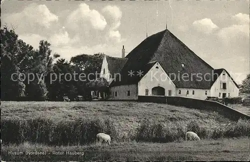 Husum Nordfriesland Roter Hauberg / Husum /Nordfriesland LKR