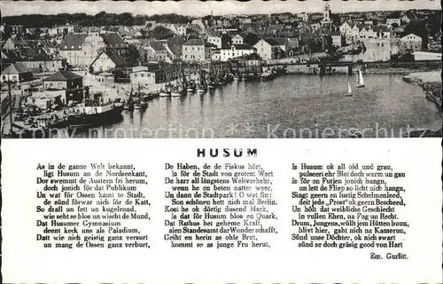 Husum Nordfriesland Panorama / Husum /Nordfriesland LKR