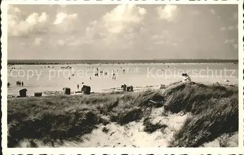 Amrum Strand Kniepsand Duenen Kat. Nebel