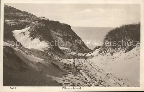 Insel Sylt Duenenschlucht Kat. Westerland