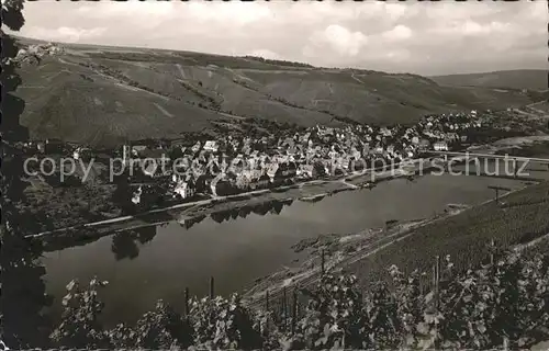 Reil Moselpanorama 1000 jaehriges Weindorf Kat. Reil