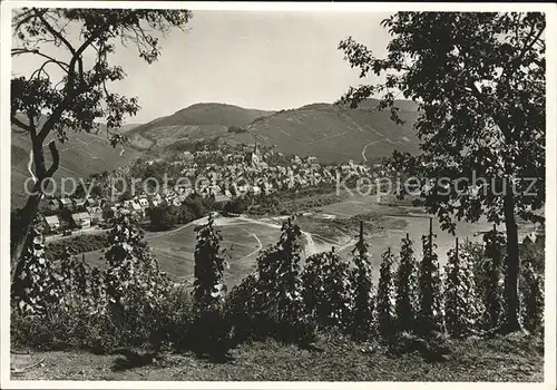 Enkirch Mosel Panorama Kat. Enkirch