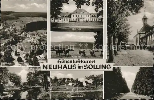 Neuhaus Solling Trakehner Schloss Schwimmbad Kat. Holzminden
