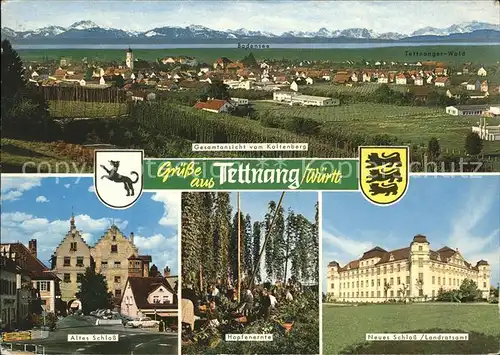 Tettnang Gesamtansicht vom Kaltenberg Alpenpanorama Schloss Hopfenernte Landratsamt Wappen Kat. Tettnang