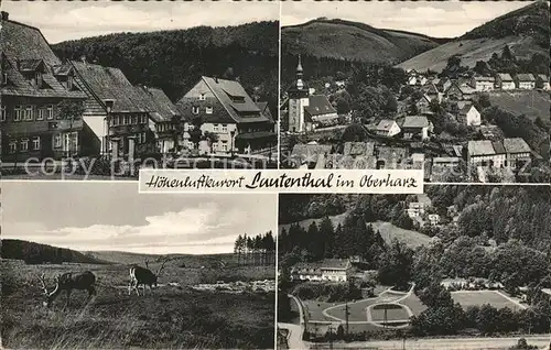 Lautenthal Harz Hirsch Kat. Langelsheim