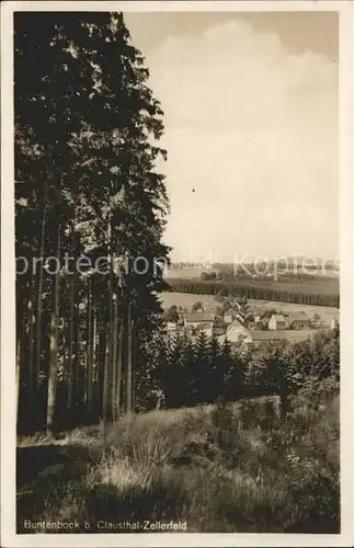 Buntenbock Clausthal Zellerfeld Kat. Clausthal Zellerfeld