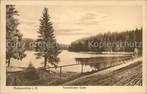 Hahnenklee Bockswiese Harz Kuttelbacher Teich Kat. Goslar