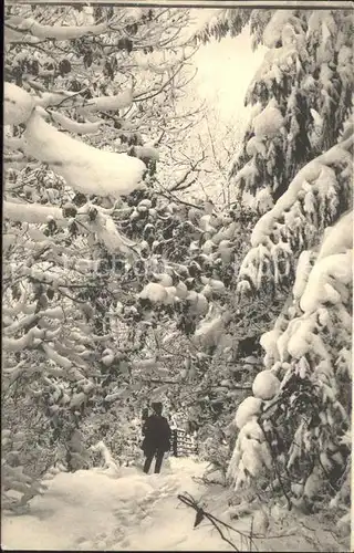 Braunlage Im verschneiten Harzer Wald Kat. Braunlage Harz