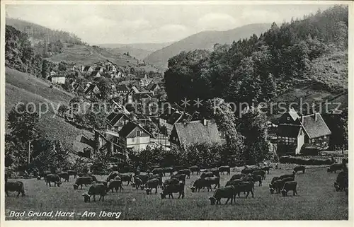 Bad Grund Harz Iberg Kat. Bad Grund (Harz)