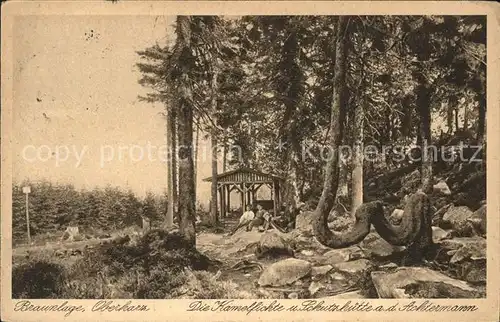 Braunlage Kamelfichte u.Schutzhuette a.d.Achtermann Kat. Braunlage Harz