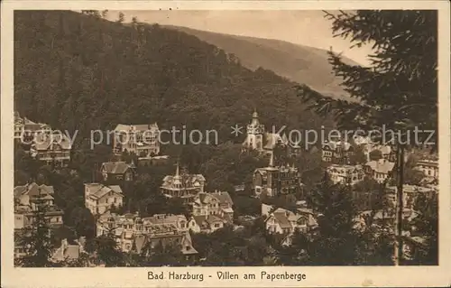 Bad Harzburg Villen am Papenberge Kat. Bad Harzburg