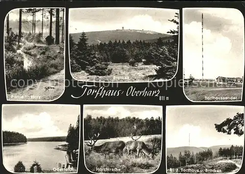 Torfhaus Harz mit Torfhaussender u.Oderteich Kat. Altenau