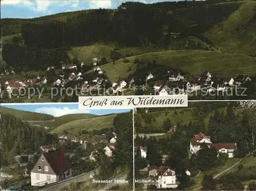 Wildemann Seesenerstrasse u.Muetterheim Kat. Wildemann Harz