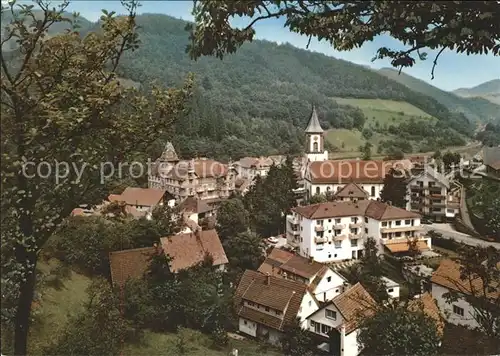 Bad Peterstal-Griesbach Teilansicht / Bad Peterstal-Griesbach /Ortenaukreis LKR
