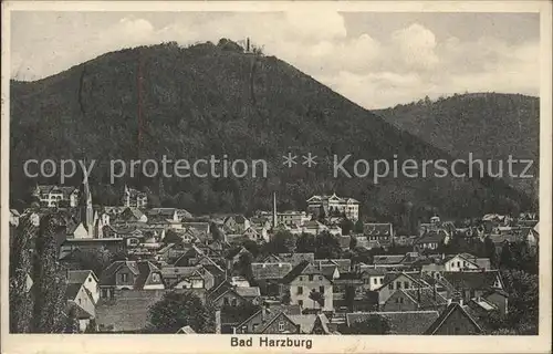 Bad Harzburg Gesamtansicht Kat. Bad Harzburg