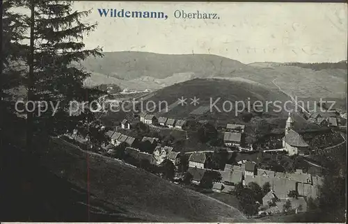 Wildemann Luftaufnahme Kat. Wildemann Harz