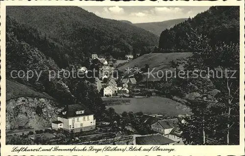 Zorge Blick auf Oberzorge Luftkurort Sommerfrische Kat. Zorge