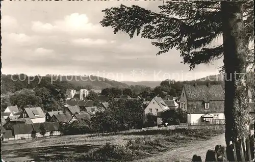 Walkenried Blick zur Klosterruine Kat. Walkenried