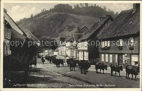 Wieda Toepferstrasse Blick auf die Wache Kuhherde Kat. Wieda