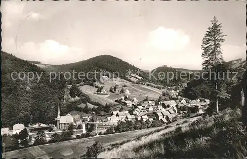 Sieber Blick vom oberen Sieberweg Kat. Herzberg am Harz