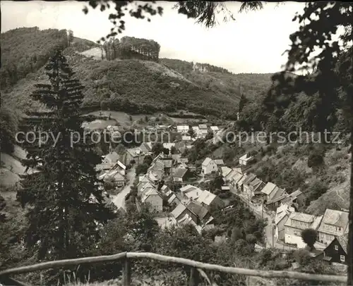 Zorge Blick von der Fuchsburg Kat. Zorge