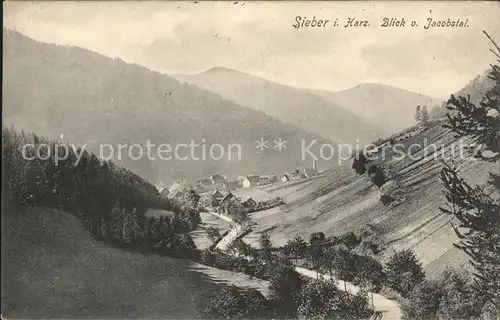 Sieber Panorama Blick vom Jacobstal Kat. Herzberg am Harz