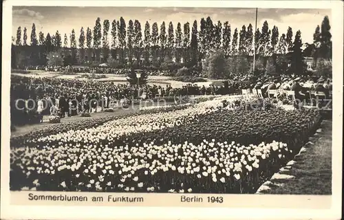 Berlin Sommerblumen am Funkturm Kat. Berlin