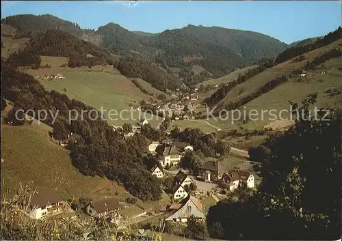 Muenstertal Schwarzwald Panorama Kat. Muenstertal