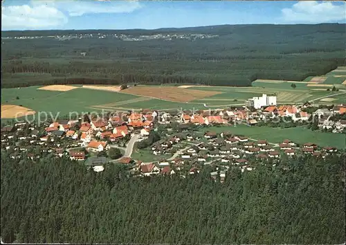 Dittishausen Fliegeraufnahme Kat. Loeffingen