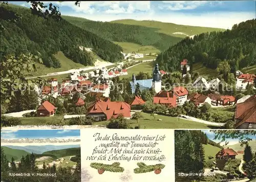 Todtmoos Panorama Alpen Schwarzwaldhaus Kat. Todtmoos