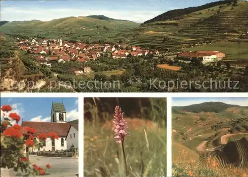 Oberbergen Vogtsburg Panorama Kirche Kat. Vogtsburg im Kaiserstuhl