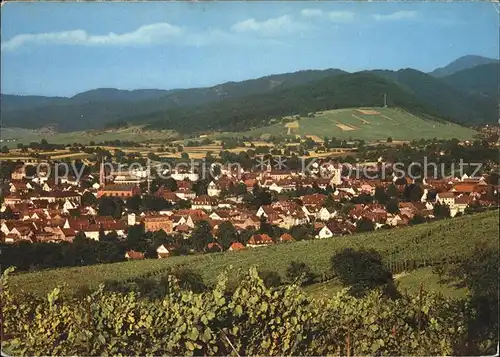 Muellheim Baden Panorama Kat. Muellheim