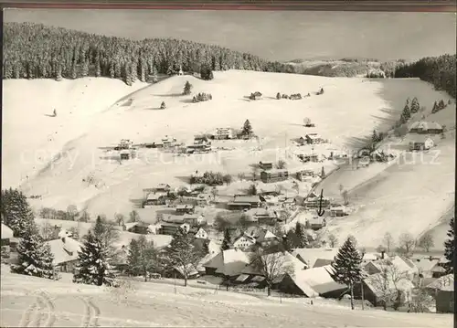 Todtnauberg Panorama im Schnee Kat. Todtnau