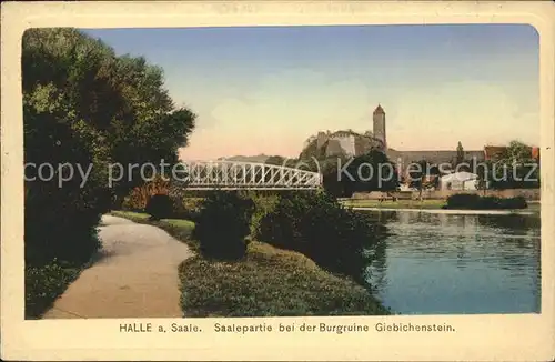 Halle Saale Saalepartie Burgruine Giebichenstein Kat. Halle