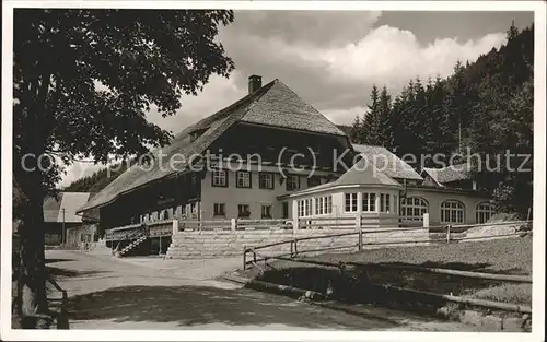 Menzenschwand Gasthof z. Hirschen Kat. St. Blasien