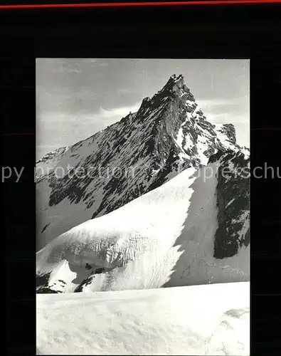 Zinalrothorn Walliser Alpen Kat. Zinalrothorn