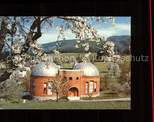 Dornach Basel Atelier Rudolf Steiner Goetheanum Baumbluete Kat. Basel