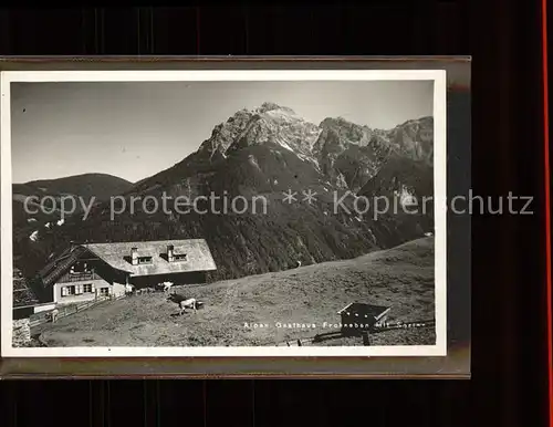 Neustift Stubaital Tirol Alpengasthaus Frohneben mit Serles Stubaier Alpen Kat. Neustift im Stubaital