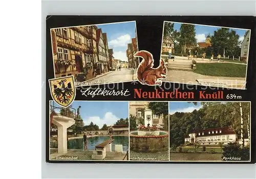 Neukirchen Knuellgebirge Luftkurort Eichhorn Wappen Kat. Neukirchen