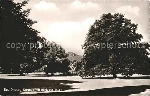 Bad Driburg Partie im Kurpark mit Blick zur Jburg Kat. Bad Driburg