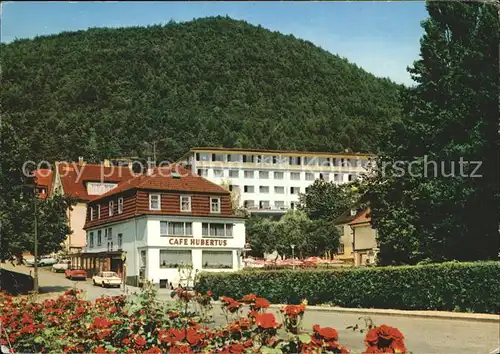 Reinhardshausen Sanatorium Reinhardsquelle u.Cafe Hubertus Kat. Bad Wildungen