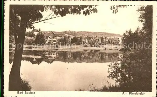 Bad Sachsa Harz Partie am Pferdeteich Kat. Bad Sachsa