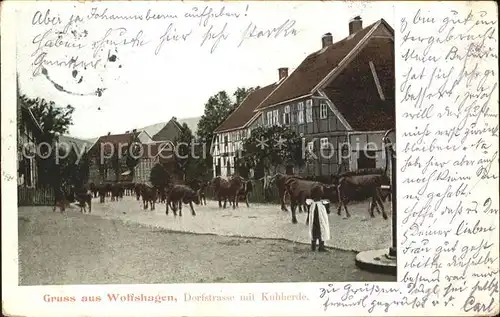 Wolfshagen Harz Dorfstrasse mit Kuhherde Kat. Langelsheim