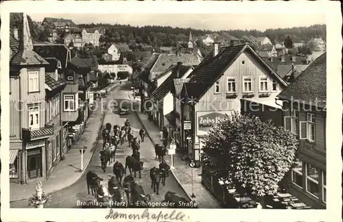 Braunlage Elbingeroder Strasse mit Kuhherde Kat. Braunlage Harz